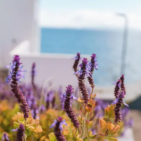 Guestready - Endless Ocean Views Σάντα Κρουζ