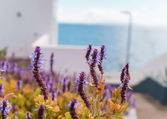 Guestready - Endless Ocean Views Santa Cruz (Madeira)